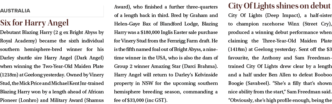 ￼ Six for Harry Angel Debutant Blazing Harry (2 g ex Bright Abyss by Royal Academy) became the sixth individual south...