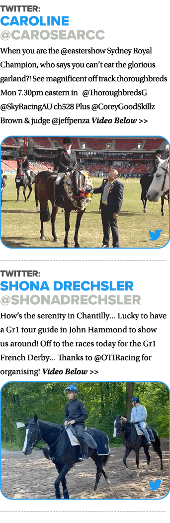 Twitter: Caroline @CaroSearcc When you are the @eastershow Sydney Royal Champion, who says you can’t eat the glorious...