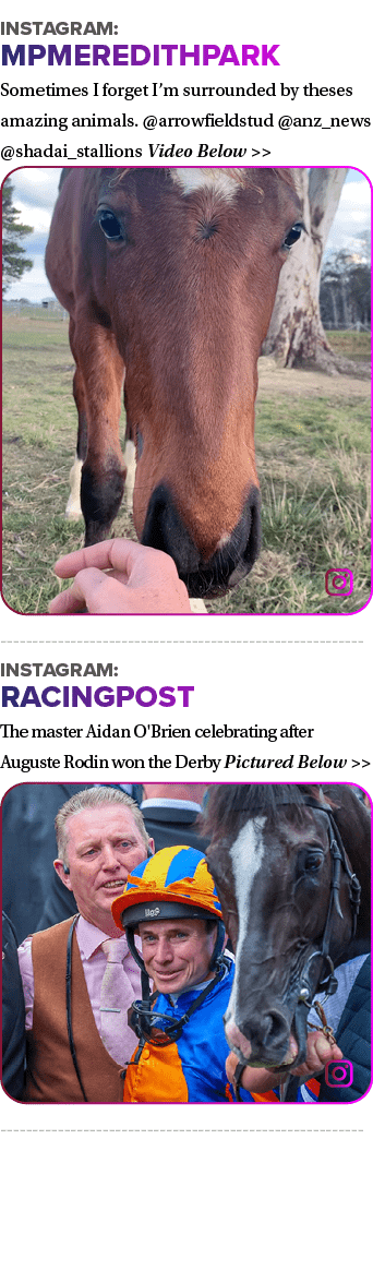 Instagram: mpmeredithpark Sometimes I forget I’m surrounded by theses amazing animals. @arrowfieldstud @anz_news @sha...