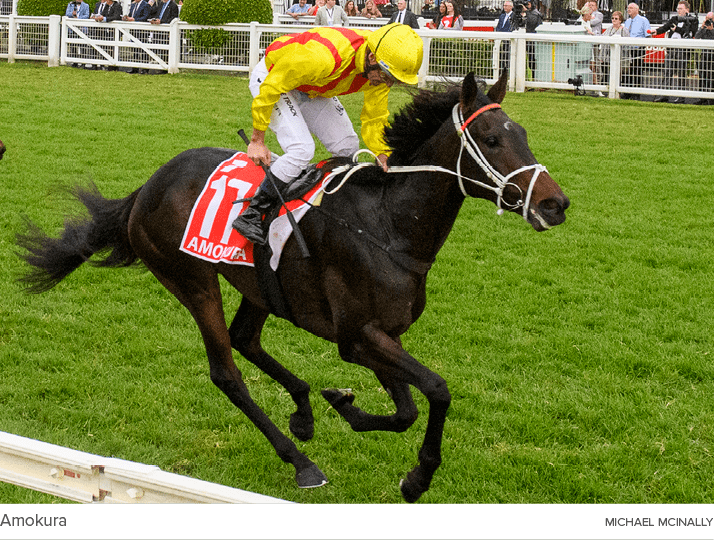 Amokura Michael McInall