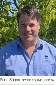 Scott Shann Scone Equine Hospita
