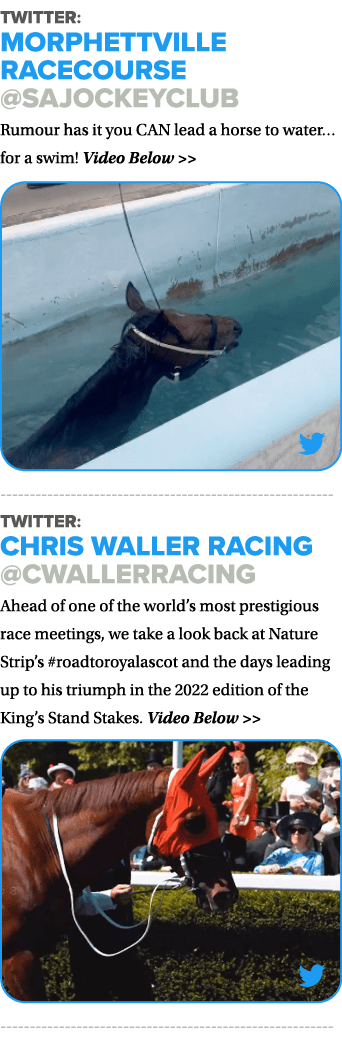 Twitter: Morphettville Racecourse @SAJockeyClub Rumour has it you CAN lead a horse to water…for a swim! Video Below ...