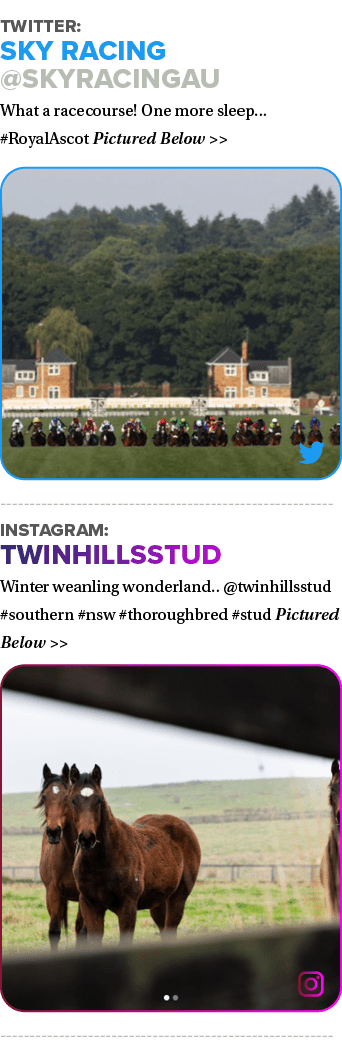 Twitter: SKY Racing @SkyRacingAU What a racecourse! One more sleep... #RoyalAscot Pictured Below   ￼ Instagram: twin...