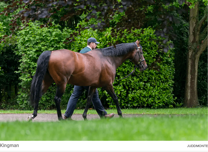 Kingman juddmont