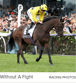 Without A Fight racing photo