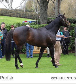 Proisir rich hill stu