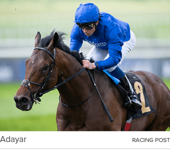 Adayar racing pos