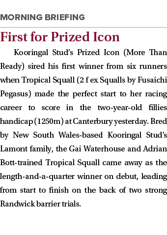 ￼ First for Prized Icon Kooringal Stud’s Prized Icon (More Than Ready) sired his first winner from six runners when T...