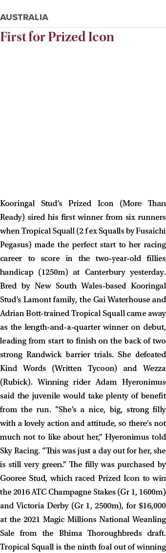 ￼ First for Prized Icon Kooringal Stud’s Prized Icon (More Than Ready) sired his first winner from six runners when T...