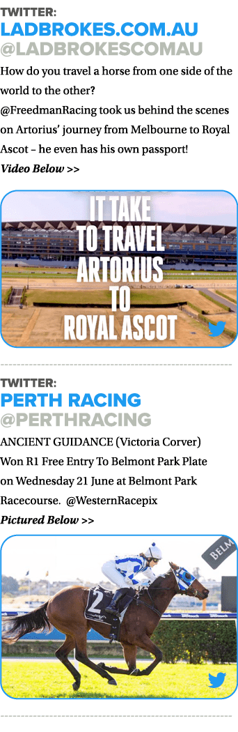 Twitter: Ladbrokes.com.au @ladbrokescomau How do you travel a horse from one side of the world to the other? @Freedma...