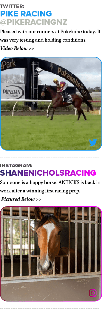 Twitter: Pike Racing @pikeracingnz Pleased with our runners at Pukekohe today. It was very testing and holding condit...