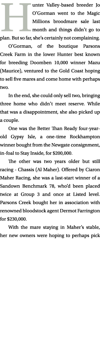 Hunter Valley based breeder Jo O’Gorman went to the Magic Millions broodmare sale last month and things didn’t go to ...