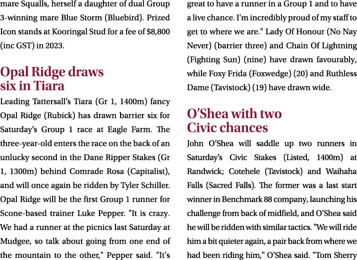 mare Squalls, herself a daughter of dual Group 3 winning mare Blue Storm (Bluebird). Prized Icon stands at Kooringal ...