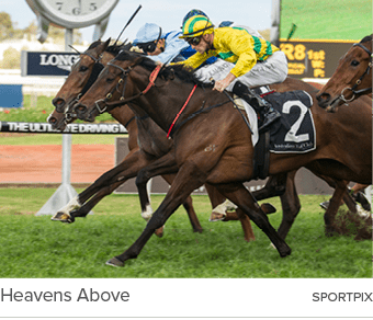 Heavens Above sportpi