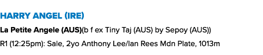 Harry Angel (IRE) La Petite Angele (AUS)(b f ex Tiny Taj (AUS) by Sepoy (AUS)) R1 (12:25pm): Sale, 2yo Anthony Lee/Ia...