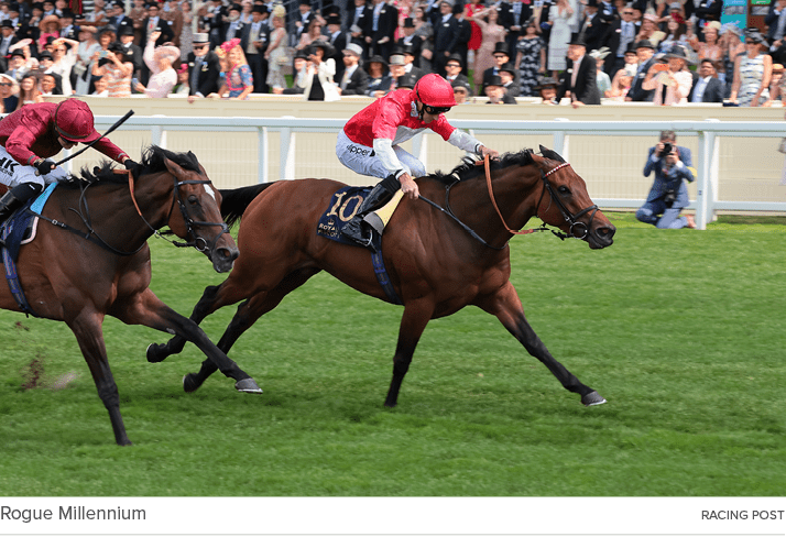 Rogue Millennium racing pos