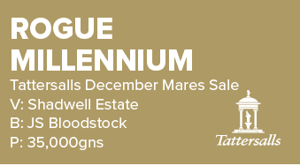 Rogue Millennium Tattersalls December Mares Sale V: Shadwell Estate B: JS Bloodstock P: 35,000gn