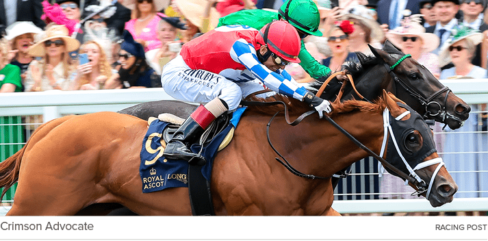 Crimson Advocate racing pos