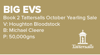 Big Evs Book 2 Tattersalls October Yearling Sale V: Houghton Bloodstock B: Michael Cleere P: 50,000gn