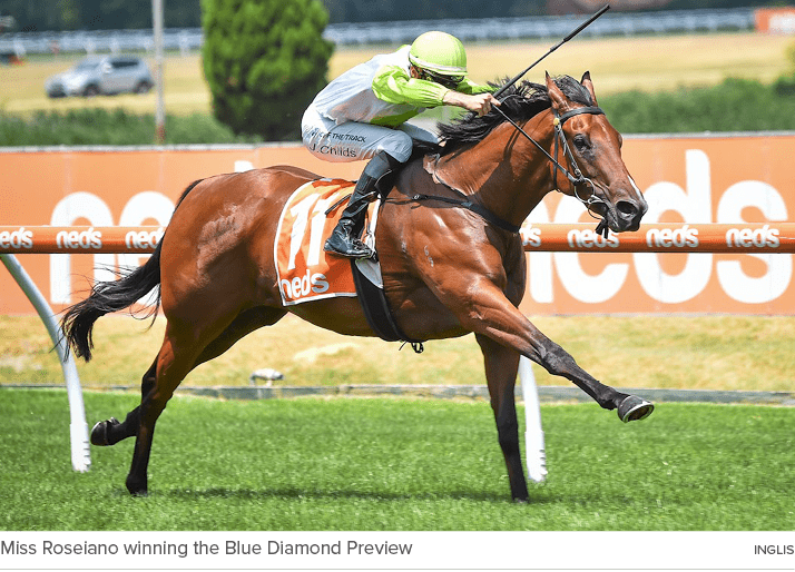 Miss Roseiano winning the Blue Diamond Preview Ingli