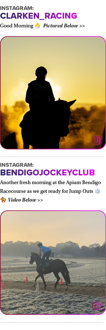 Instagram: clarken_racing Good Morning 🐣 Pictured Below   ￼ Instagram: bendigojockeyclub Another fresh morning at t...