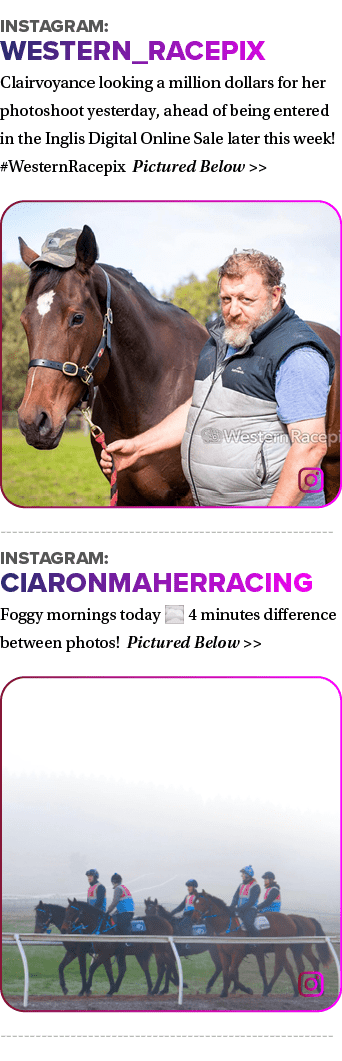 Instagram: western_racepix Clairvoyance looking a million dollars for her photoshoot yesterday, ahead of being entere...