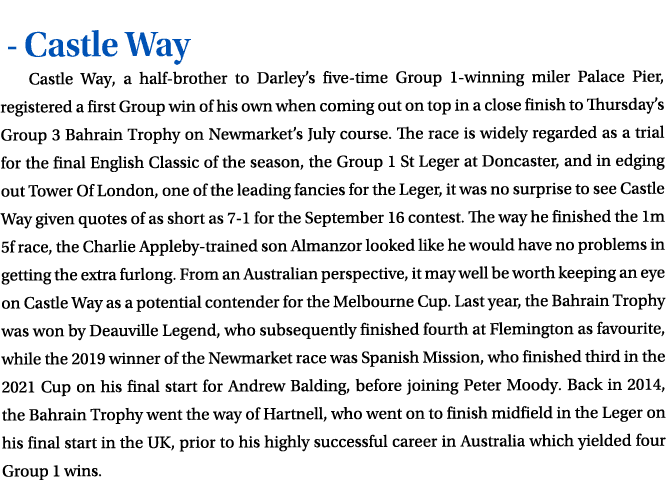  Castle Way Castle Way, a half brother to Darley’s five time Group 1 winning miler Palace Pier, registered a first Gr...