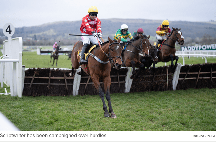 Scriptwriter has been campaigned over hurdles Racing Pos