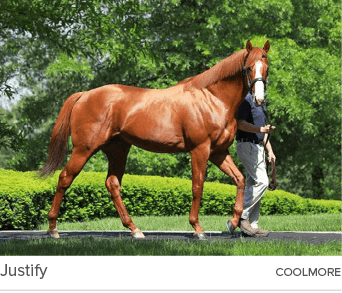 Justify Coolmor