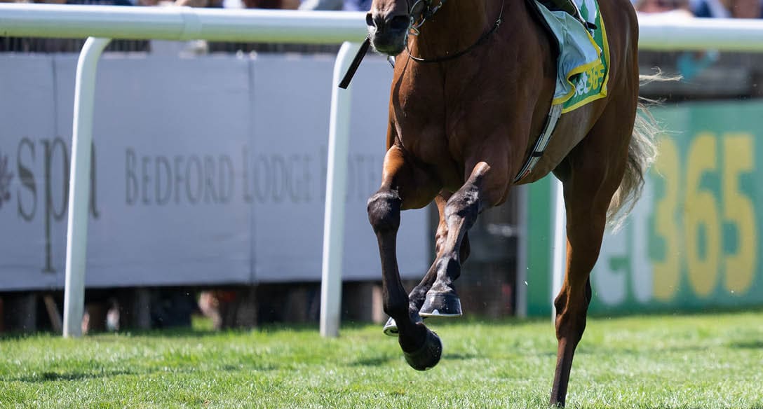 City Of Troy (Ryan Moore) wins the Superlative Stakes Newmarket 15.7.23 Pic: Edward Whitaker