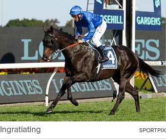 Ingratiating sportpi