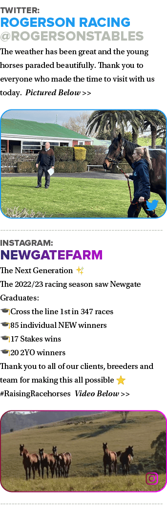 Twitter: Rogerson Racing @RogersonStables The weather has been great and the young horses paraded beautifully. Thank ...