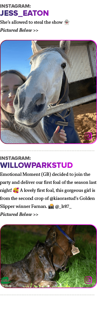 Instagram: jess_eaton She’s allowed to steal the show 👻 Pictured Below   ￼ Instagram: willowparkstud Emotional Mome...