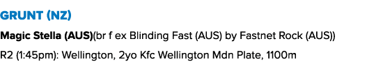 Grunt (NZ) Magic Stella (AUS)(br f ex Blinding Fast (AUS) by Fastnet Rock (AUS)) R2 (1:45pm): Wellington, 2yo Kfc Wel...
