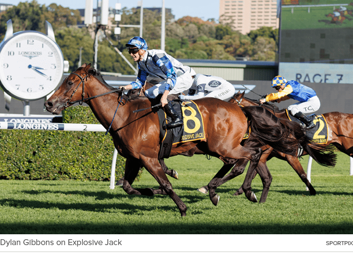 Dylan Gibbons on Explosive Jack sportpi