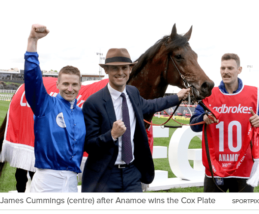 James Cummings (centre) after Anamoe wins the Cox Plate sportpix 