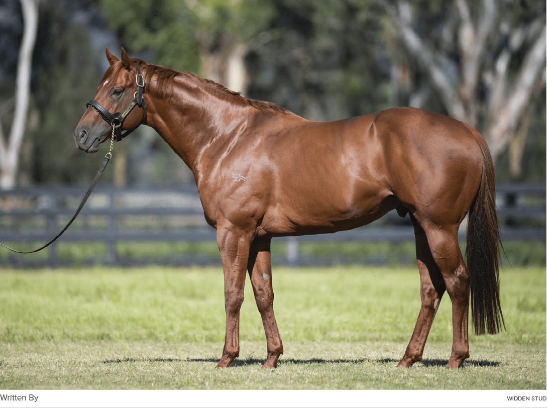 Written By widden STU