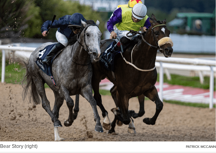 Bear Story (right) Patrick McCan