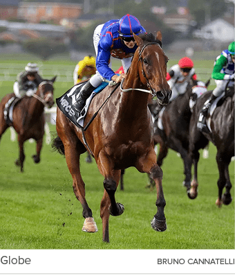 Globe Bruno Cannatell