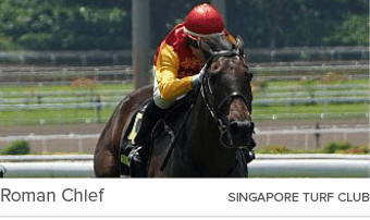 Roman Chief SINGAPORE TURF CLU