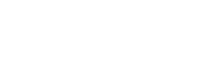 Syndicator Viva Racing ready for highs and lows of breeding venture