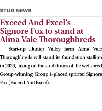 ￼ Exceed And Excel’s Signore Fox to stand at Alma Vale Thoroughbreds Start up Hunter Valley farm Alma Vale Thoroughbr...