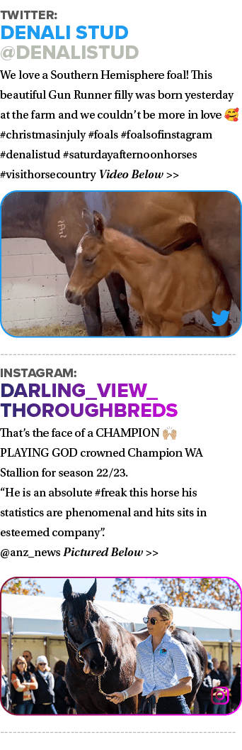 Twitter: Denali Stud @DenaliStud We love a Southern Hemisphere foal! This beautiful Gun Runner filly was born yesterd...