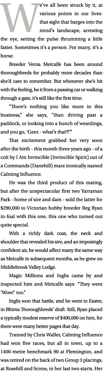 We’ve all been struck by it, at various points in our lives: that sight that barges into the mind’s landscape, arrest...
