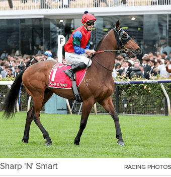 Sharp 'N' Smart racing photo