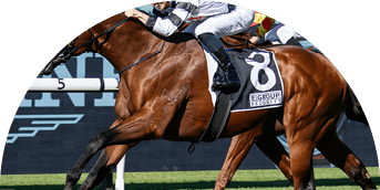 Signore Fox (James McDonald, white cap) wins the Star Kingdom Stakes (Group 3) at Rosehill on March 27, 2021 - photo by Martin King/Sportpix copyright