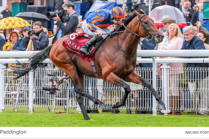 Paddington racing pos