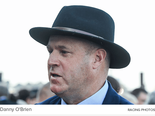 Danny O'Brien RACING PHOTO