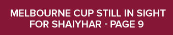  Melbourne Cup still in sight for Shaiyhar page 