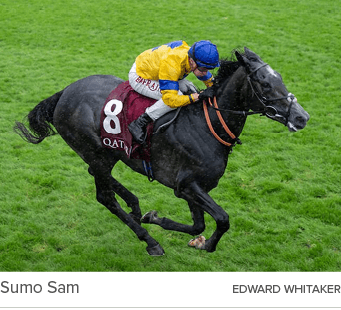 Sumo Sam Edward Whitake
